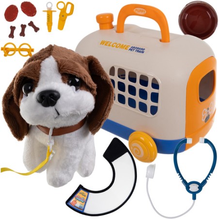 Mažojo veterinaro rinkinys